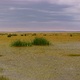 Bagna Amboseli