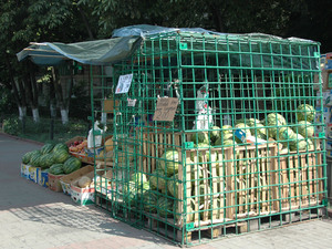 Dsc 5676
