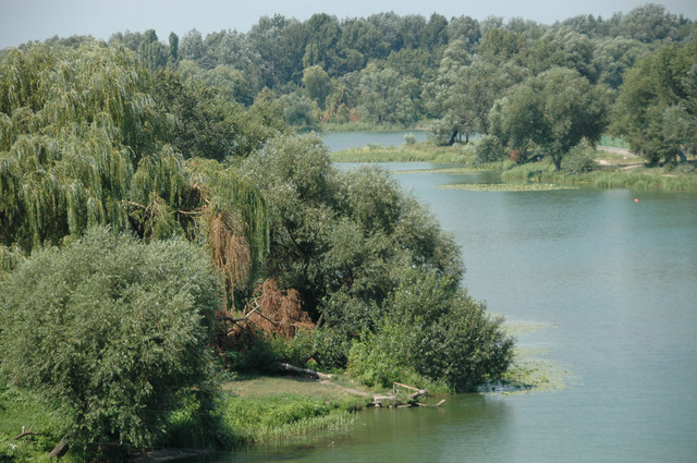 Dsc 5692 rzeka Roś