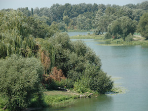Dsc 5692 rzeka Roś