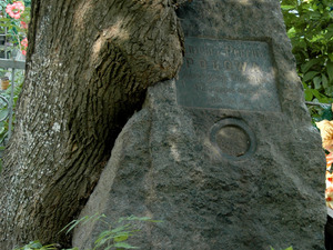 Dsc 5861 Cmentarz Bajkowy