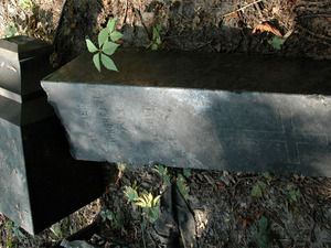 Dsc 5866 Cmentarz Bajkowy