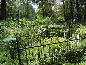 Dsc 5881 Cmentarz Bajkowy