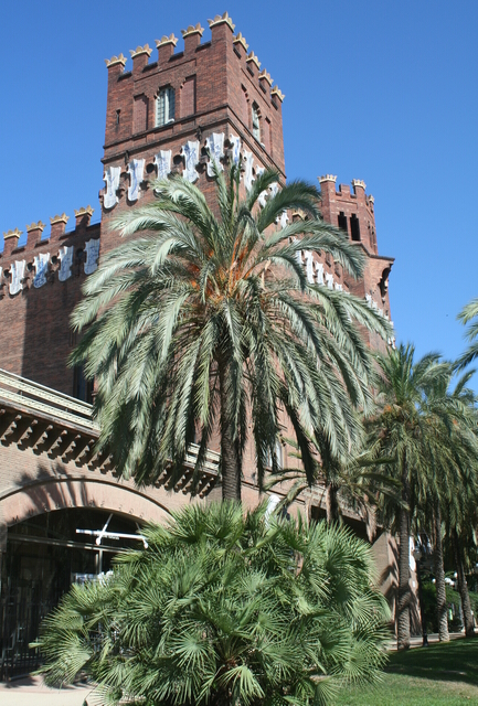 Barcelona muzeum hist nat