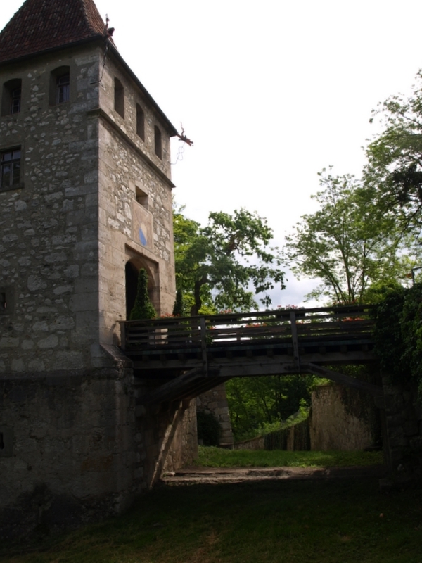 5 Rheinfall przy zamku laufen 