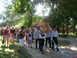 Zdjecie0088a
