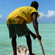 Zanzibar