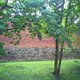Brodnica