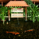 Berlin tropical islands11