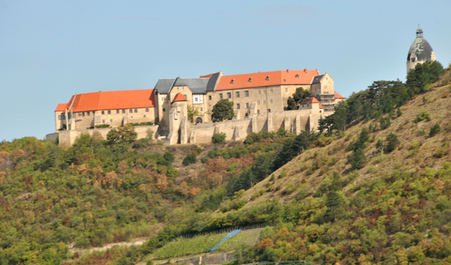 Freyburg  1 