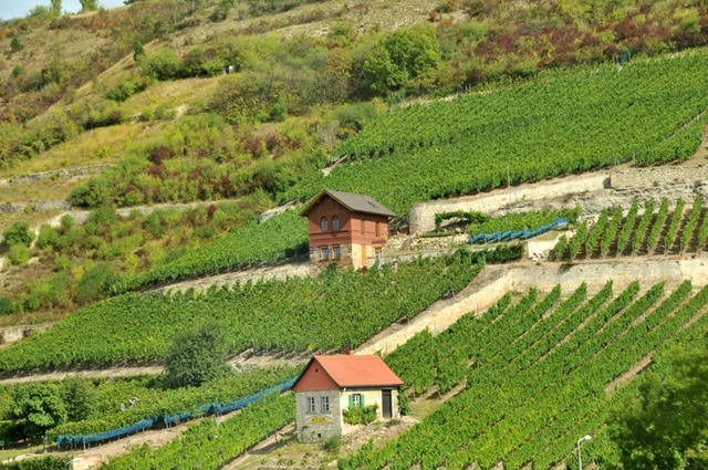 Freyburg  2 