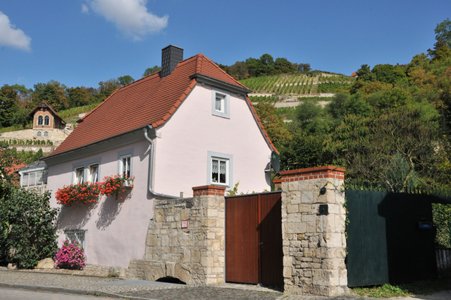 Freyburg  39 