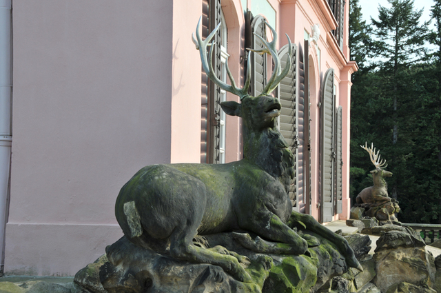 Moritzburg bazantaria  3 