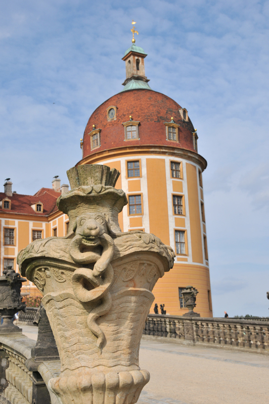 Moritzburg zamek mysliwski  2 