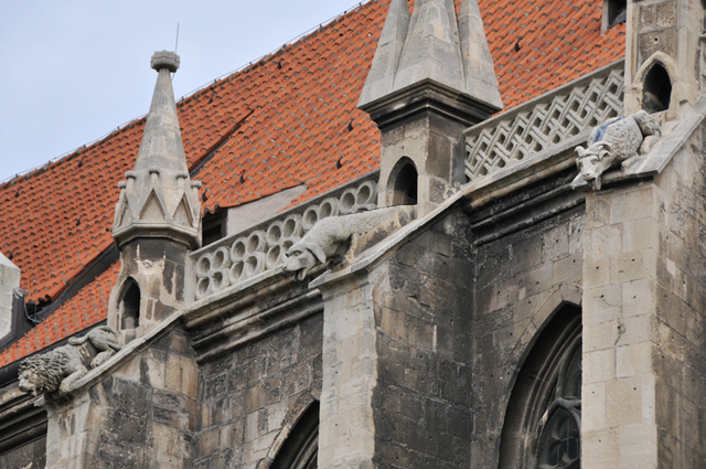 Naumburg  katedra 5 