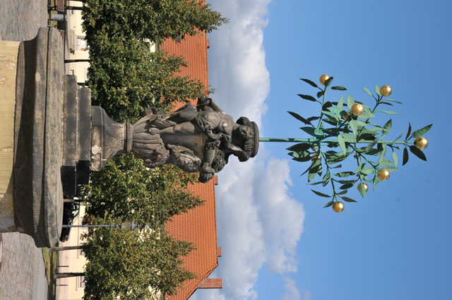 Oranienbaum  20 
