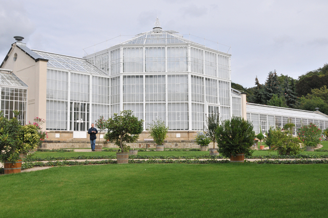Pillnitz  26 