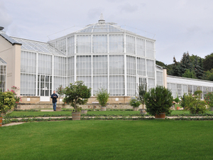 Pillnitz  26 