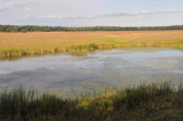 Worlitz park  21 