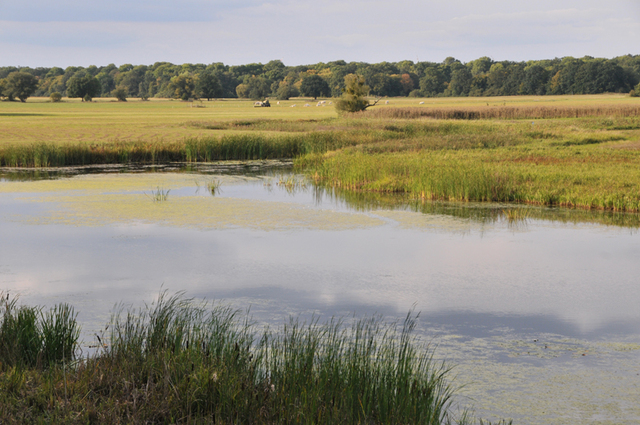 Worlitz park  22 