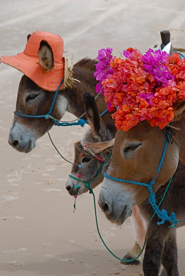 Canoa Quebrada