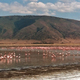 Wewnatrz krateru Ngorongoro