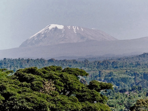 Kilimanjaro w porannej mgle