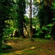 Stary młyn w Penrice Wood