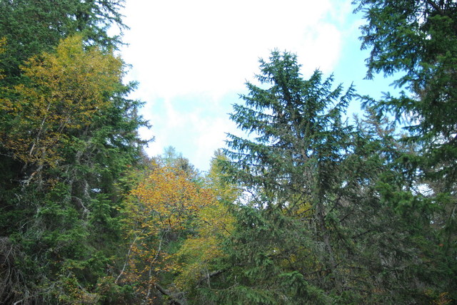 Dsc 2148