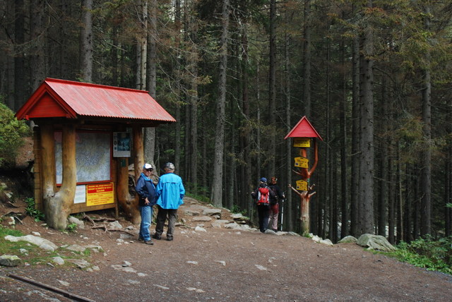 Dsc 2154