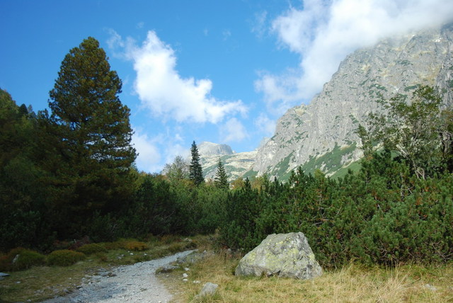 Dsc 2207