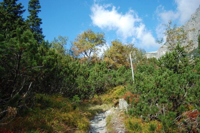 Dsc 2209