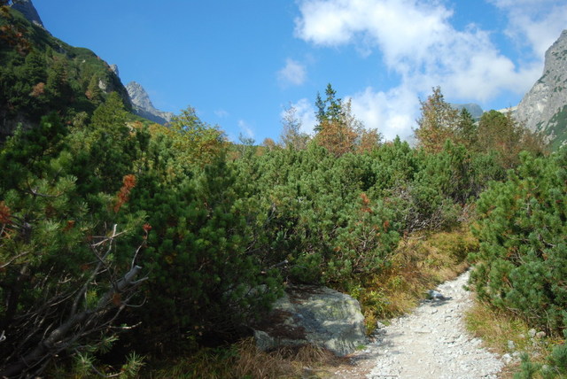 Dsc 2212