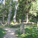 Stary cmentarz w Brzegach Górnych u podnóża Połoniny Caryńskiej