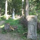 Stary cmentarz w Brzegach Górnych u podnóża Połoniny Caryńskiej