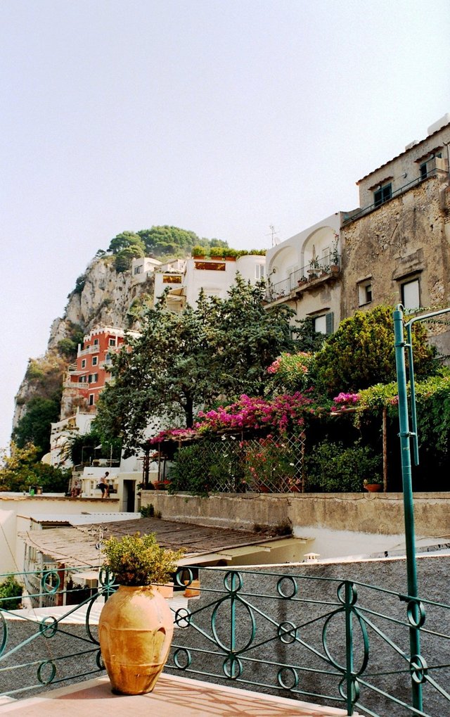 Capri 9