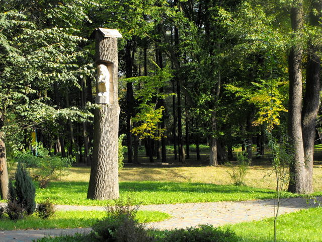 Kozienice  park