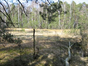 Rezwerwat przyrody Bagno Przecławskie