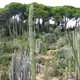 Ogród botaniczny - Marimurtra
