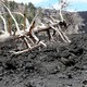 Etna 5