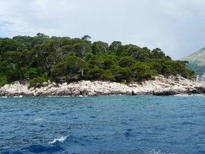 Wyspa Lokrum
