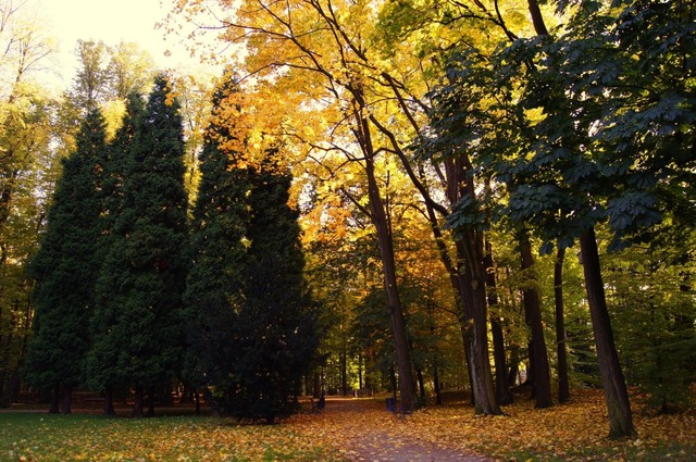 Żywiec. Park Habsburgów jesienią
