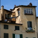 Lucca