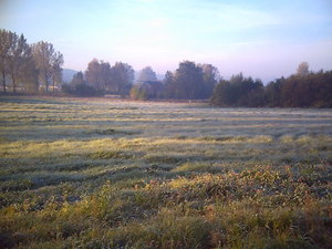 Jesień - okolice Lubawy