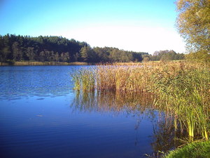 Jesień - okolice Brodnicy