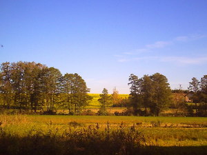 Jesień - okolice Brodnicy