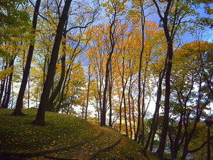 Jesień - Nidzica