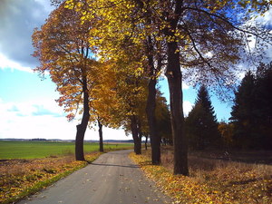 Jesień - okolice Dąbrówna