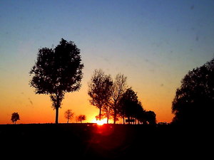 Jesień - okolice Lubawy