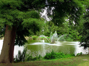 W Kew Gardens 2010_07   1